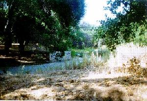 Bridges at Corriganville