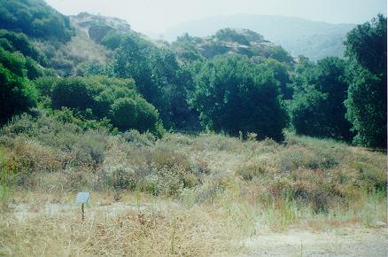 Corsican Village site at Corriganville