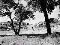 Riders of the Black HIlls