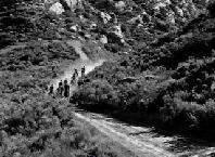 Riders of the Black Hills