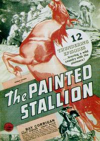 Painted Stallion