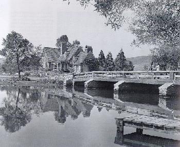 I've Always Loved You