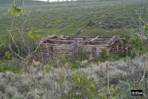 Ernie Wright Cabin