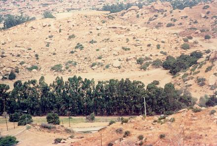 Aerial View in 1983 of Silvertown site